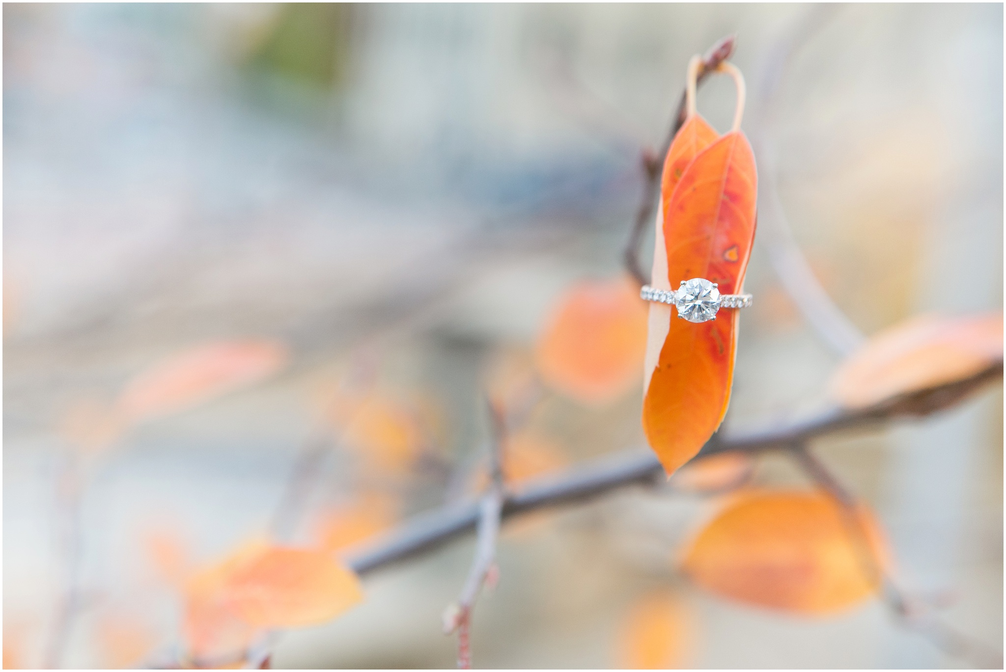 Madison_Wisconsin_Photographers_Minneapolis_Engagement_Session_0024.jpg