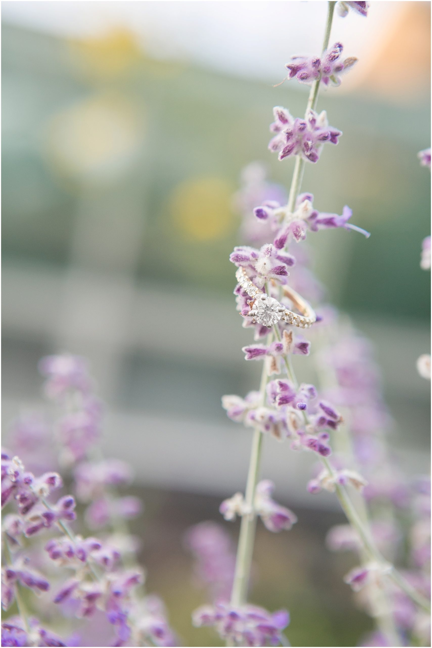 Olbrich_Botanical_Gardens_Madison_Wisconsin_Engagement_Session_0847.jpg