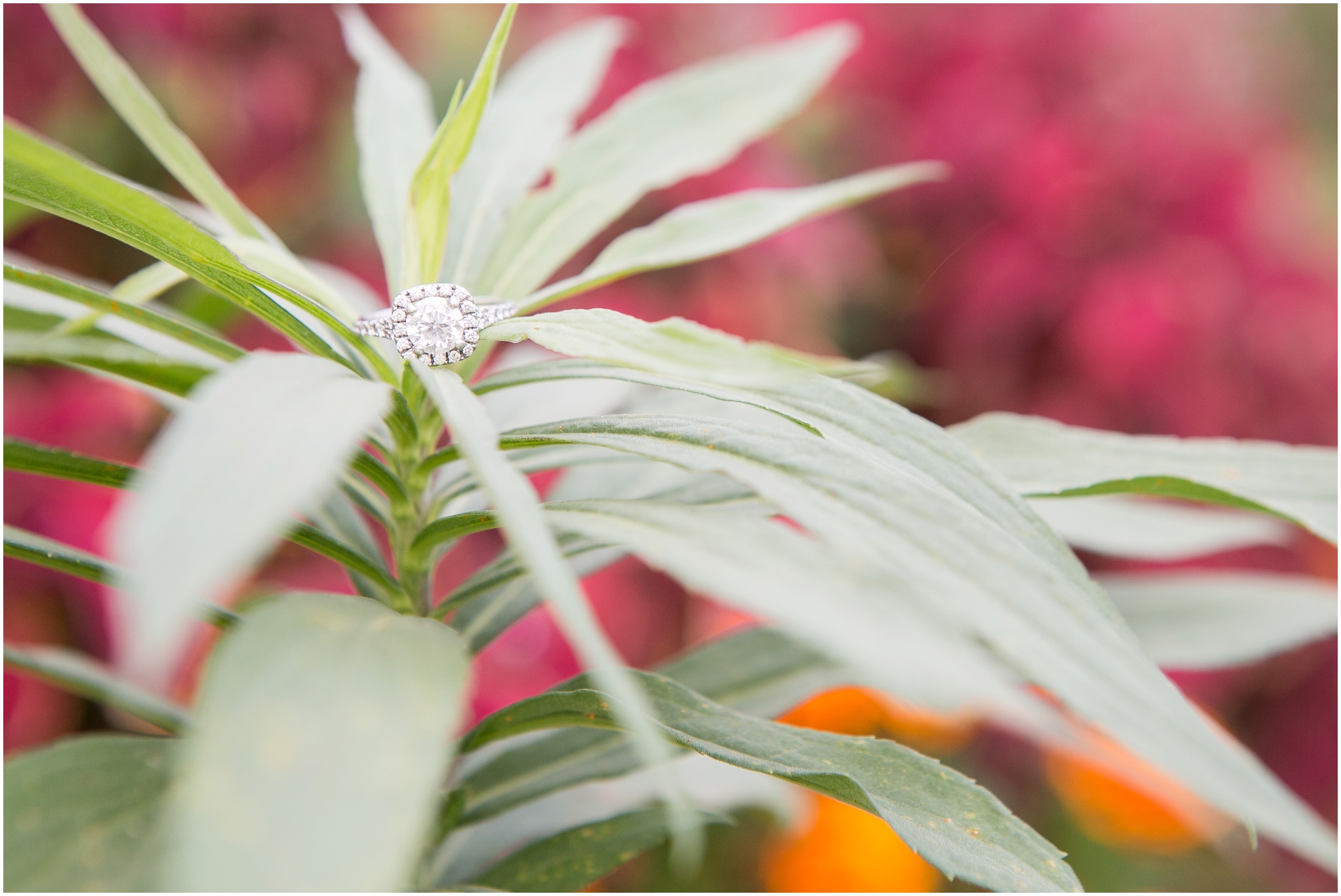 Beckman_Mill_Engagement_Session_Wisconsin_Wedding_Photographer_1605.jpg