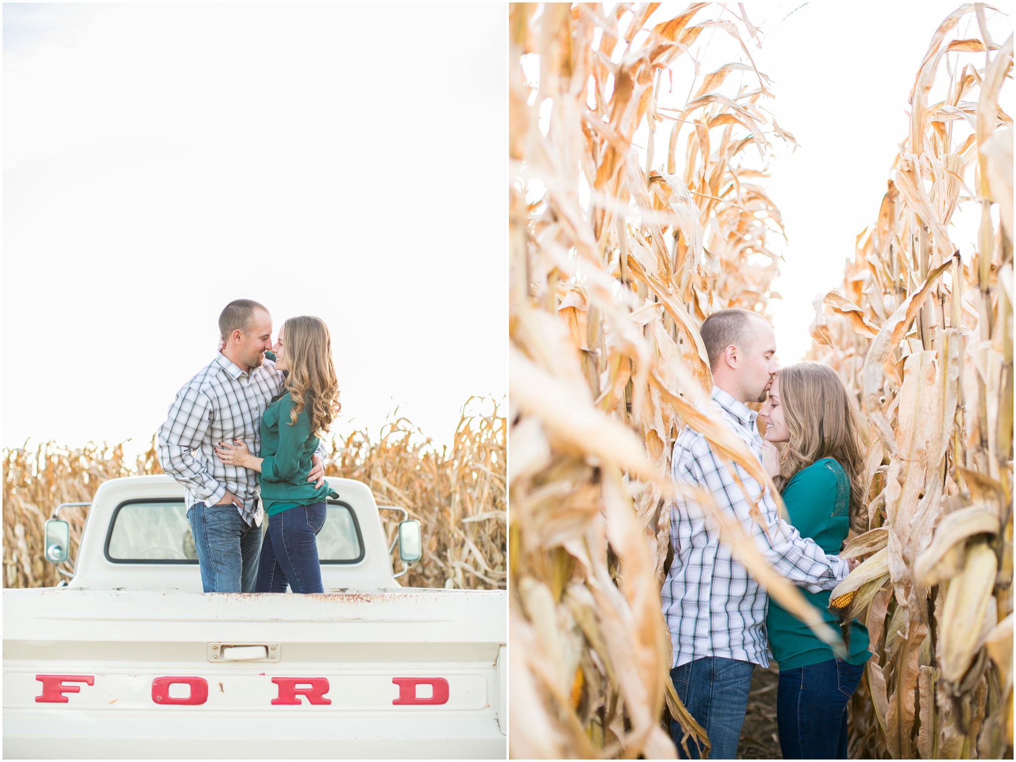 Madison_Wisconsin_Wedding_Photographers_Country_Fall_Engagement_Session_1895.jpg