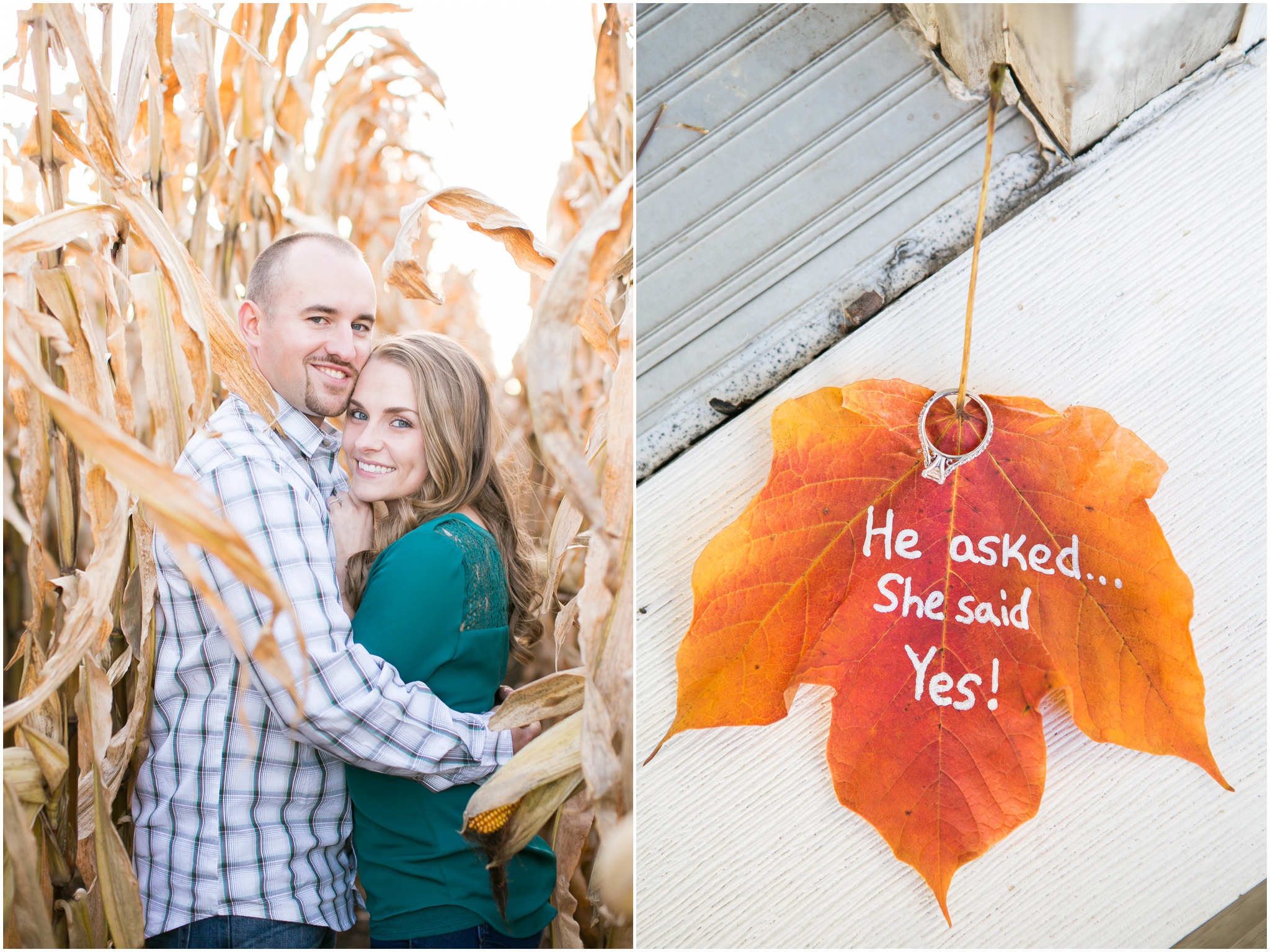 Madison_Wisconsin_Wedding_Photographers_Country_Fall_Engagement_Session_1899.jpg