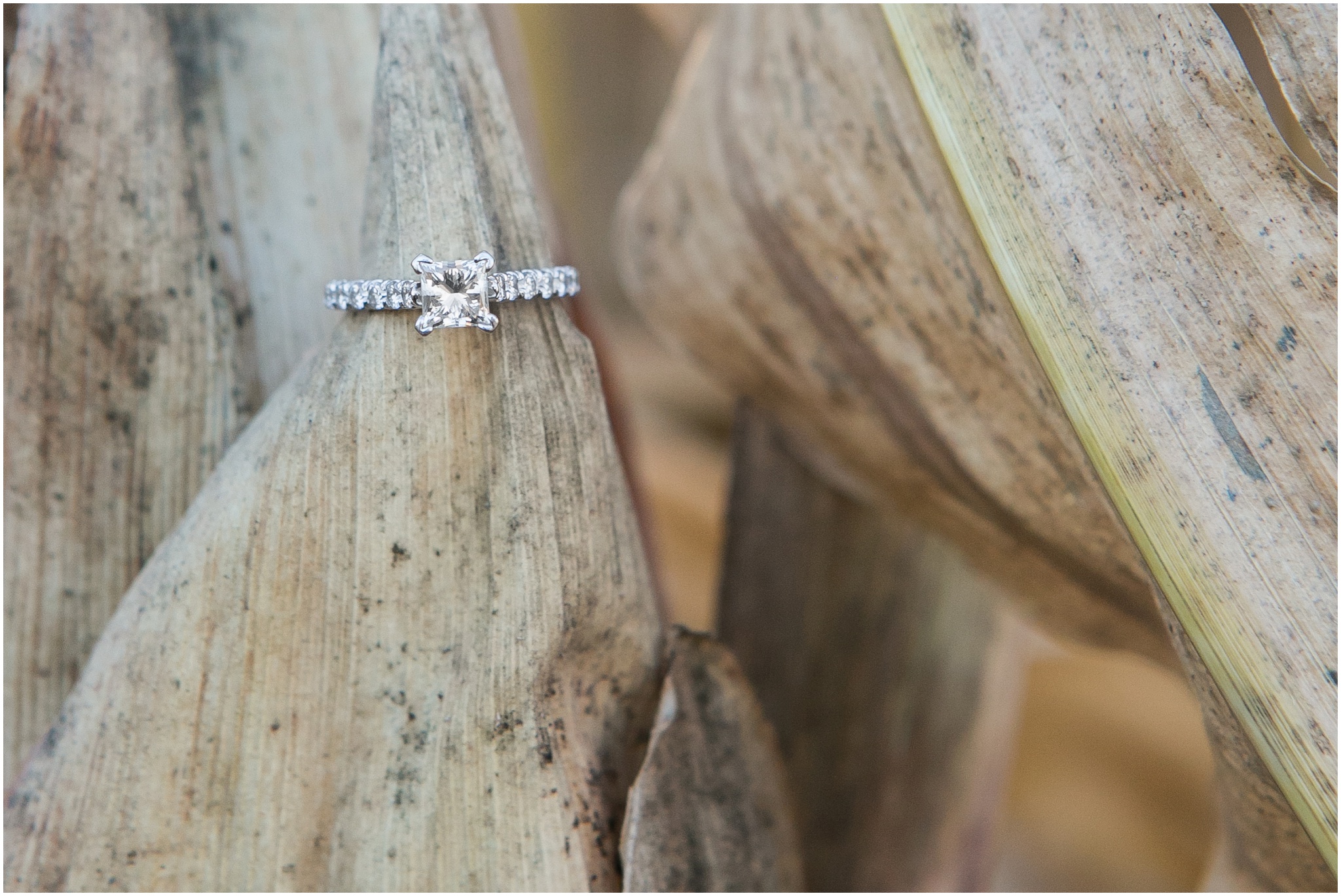 Madison_Wisconsin_Wedding_Photographers_Country_Fall_Engagement_Session_1901.jpg