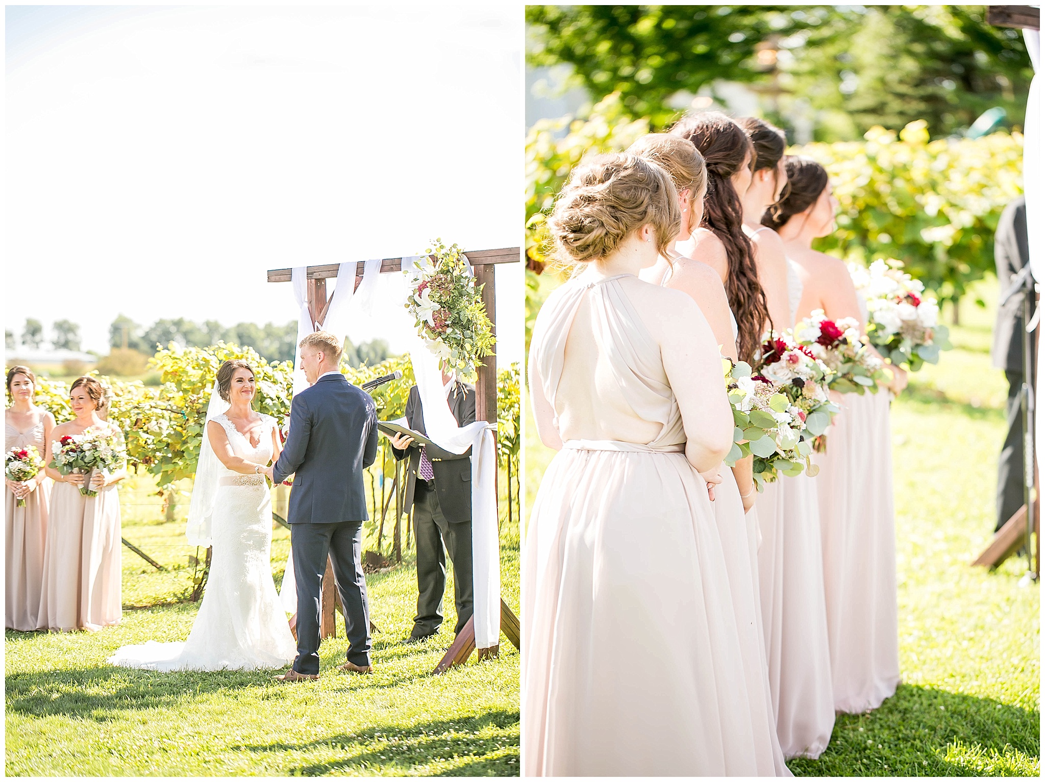 Over_The_Vines_Vineyard_Wedding_Edgerton_Wisconsin_0124.jpg